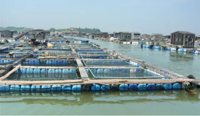 喜訊！饒平縣水產(chǎn)養(yǎng)殖區(qū)成功獲評(píng)省級(jí)示范區(qū)