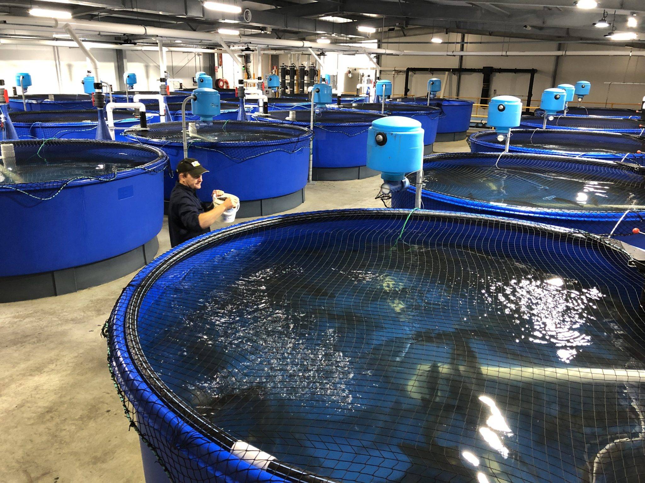 水質(zhì)、數(shù)據(jù)與環(huán)境 解析水產(chǎn)養(yǎng)殖行業(yè)的廣闊發(fā)展空間