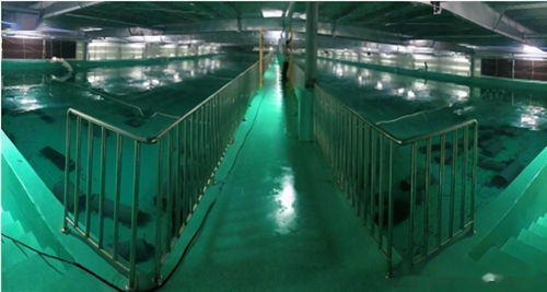 水產(chǎn)養(yǎng)殖綠色發(fā)展推動(dòng)漁業(yè)法修訂，海璟水產(chǎn)工廠化方案做加法賦能產(chǎn)業(yè)升級(jí)